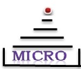 Micro2025